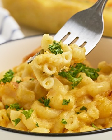 Closeup of a forkful of baked Butternut Squash Mac and Cheese.