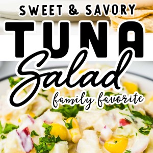 The best Tuna Salad perfect for Tuna Salad Sandwiches.