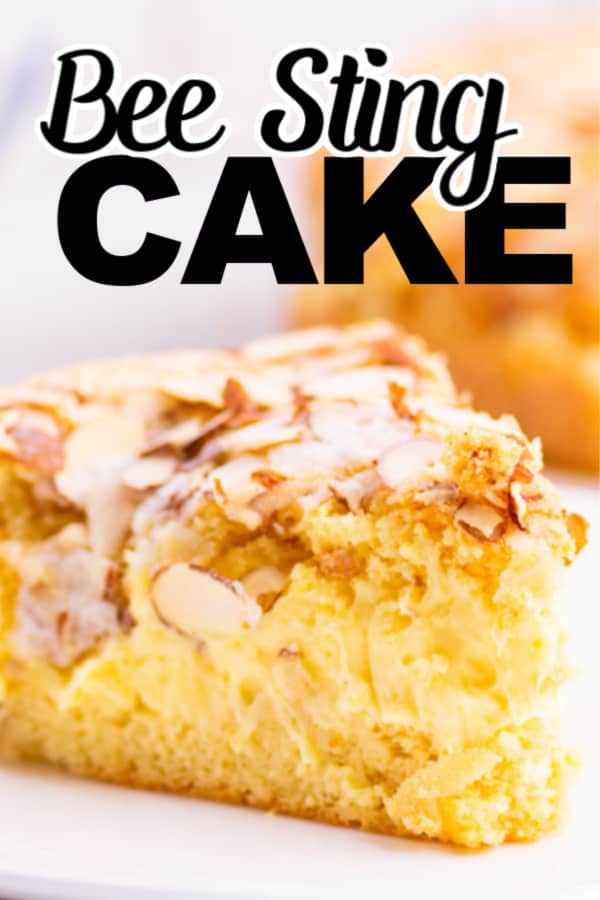 Bee Sting Cake (Bienenstich) is a super light and airy German dessert cake with a delicious vanilla pudding filling and a crunchy a sweet almond topping. Yum! #cheerfulcook #german #recipe #easy #traditional ♡ cheerfulcook.com via @cheerfulcook