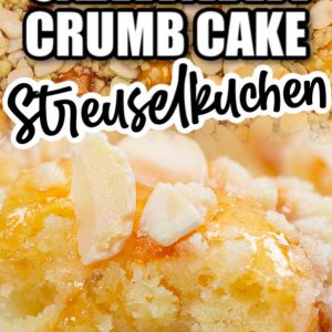 Easy German Crumb Cake Recipe