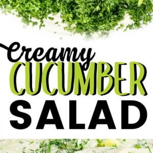 Homemade Creamy Cucumber Salad with fresh herbs