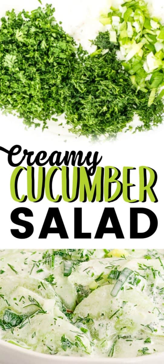 Homemade Creamy Cucumber Salad with fresh herbs