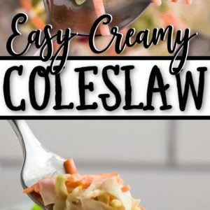 Easy Coleslaw Salad Recipe