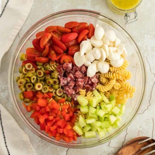 A large salad bowl filled with all the ingredients needed to make Italian Pasta Salad.