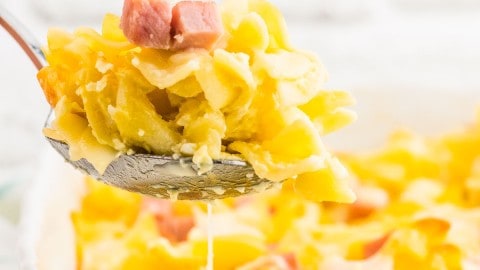 A spoonful of Ham and Noodle Casserole.