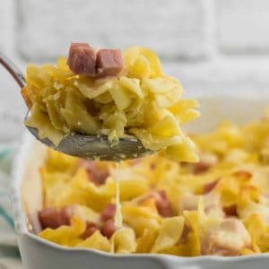 a spoonful of ham and noodle casserole