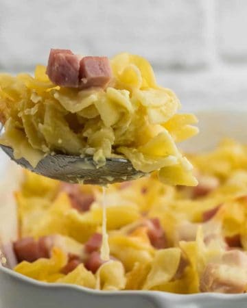 a spoonful of ham and noodle casserole