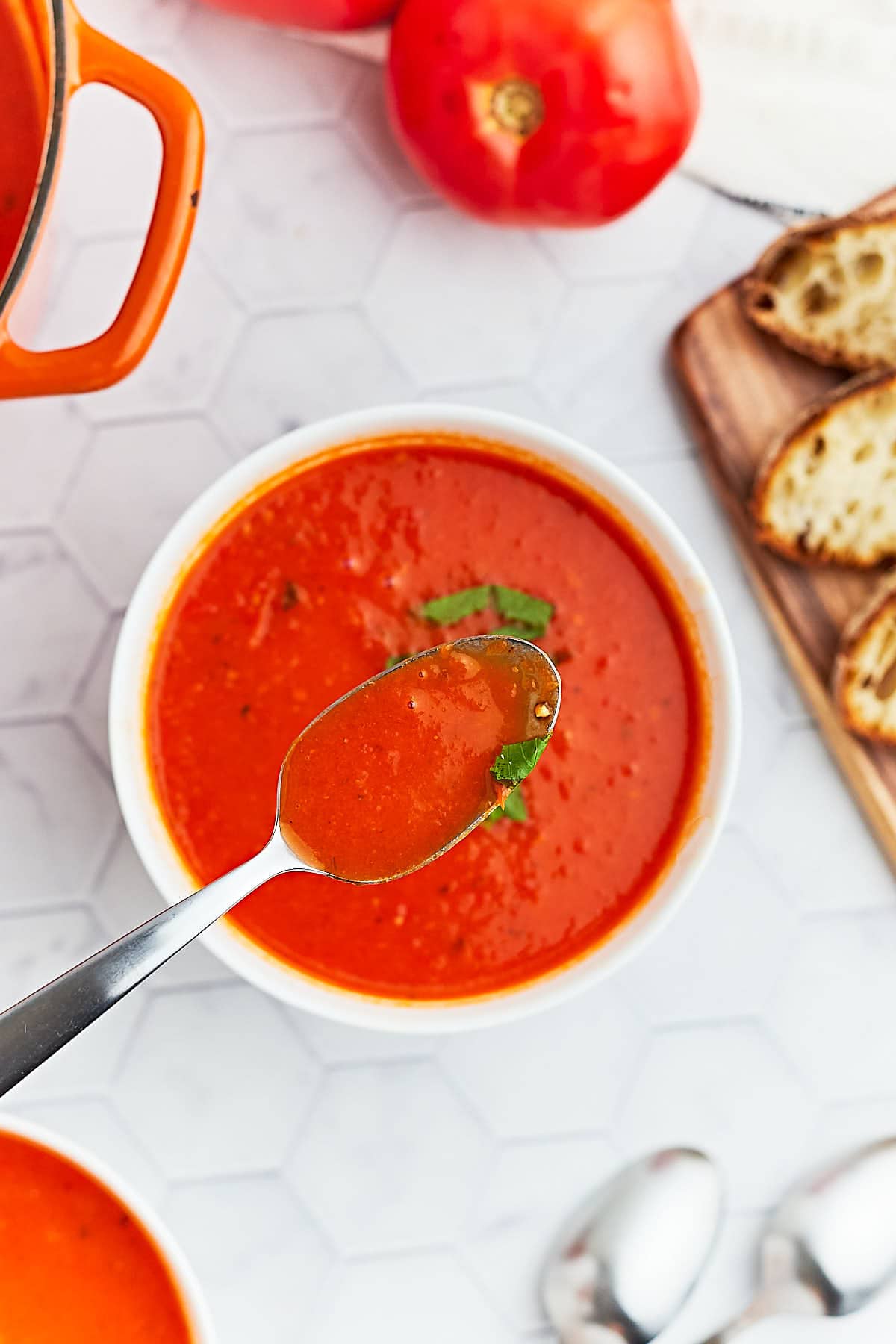 A spoonful of hot, freshly cooked Tomato Soup.