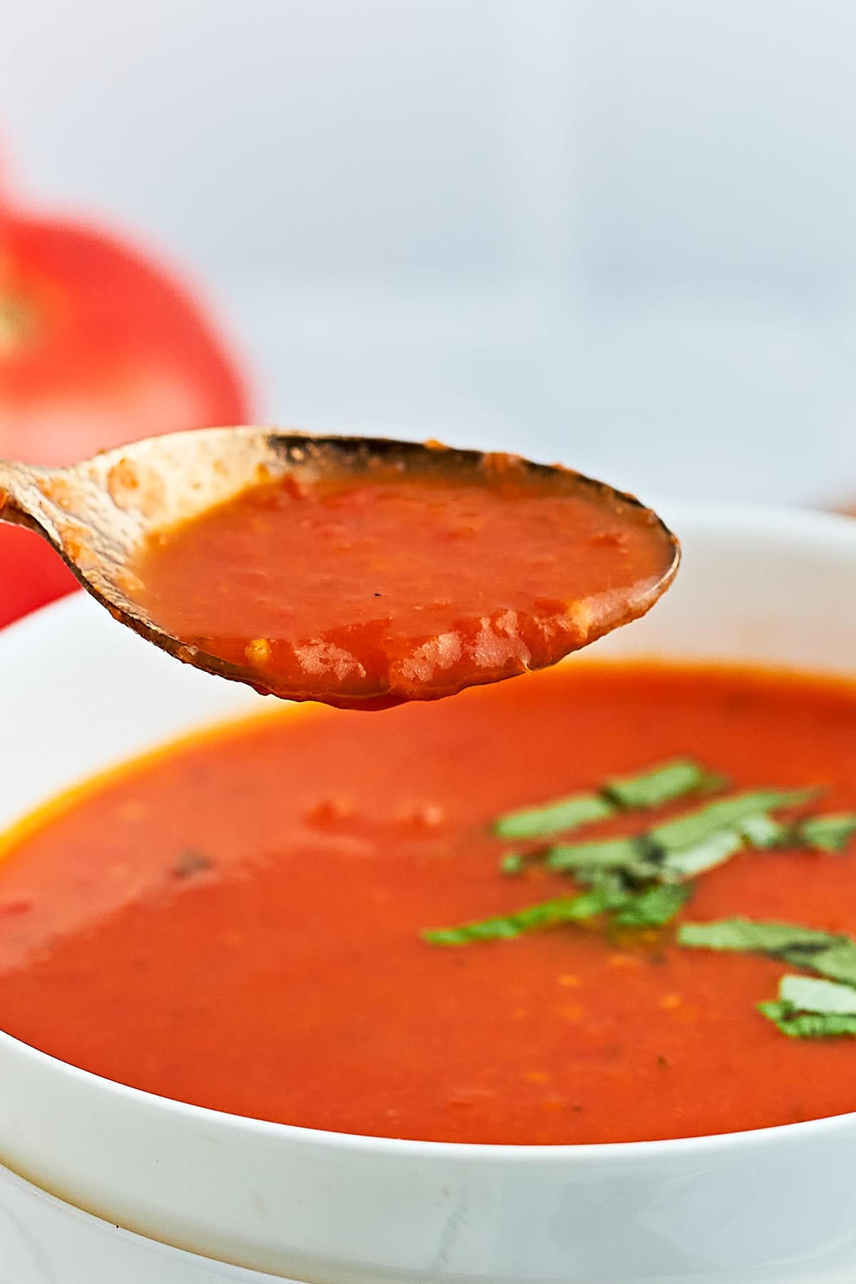 A bowl of fresh tomato soup topped with fresh basil.