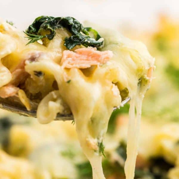 closeup of a spoonful of Salmon Casserole