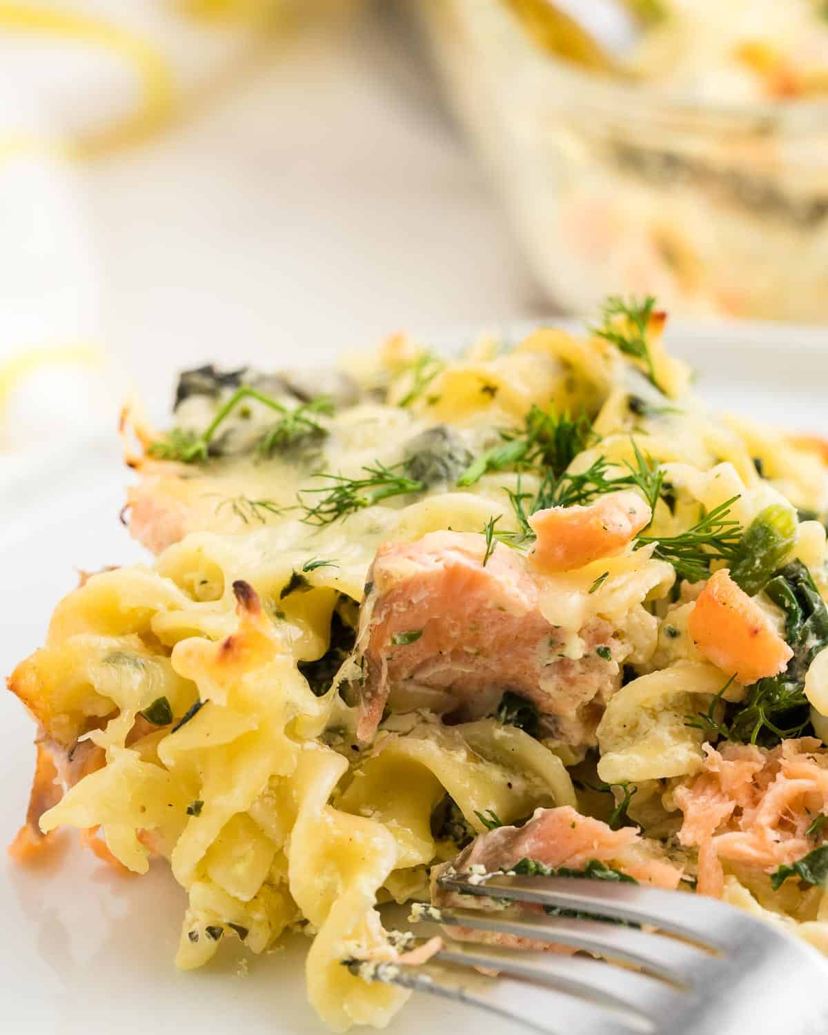 freshly baked salmon casserole on a white plate