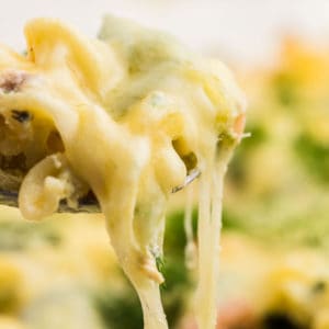 easy cheesy salmon casserole