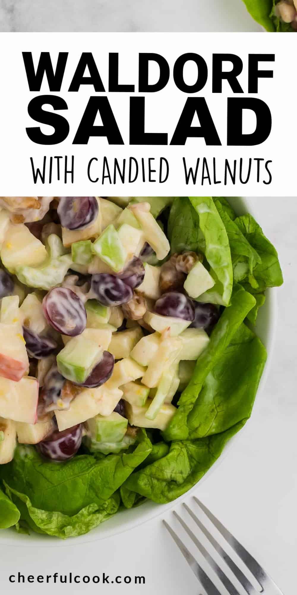 Waldorf Salad is a classic! Crisp apples, sweet grapes, crunchy celery served in a creamy dressing and topped with candied walnuts. Simple and delicious! Easy Waldorf Salad Recipe | Fruit and Nut Salad | Candied Walnut Fruit Salad #cheerfulcook #salad #waldorf cheerfulcook.com via @cheerfulcook