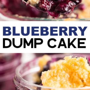 3 ingredient Blueberry Dump Cake Recipe.