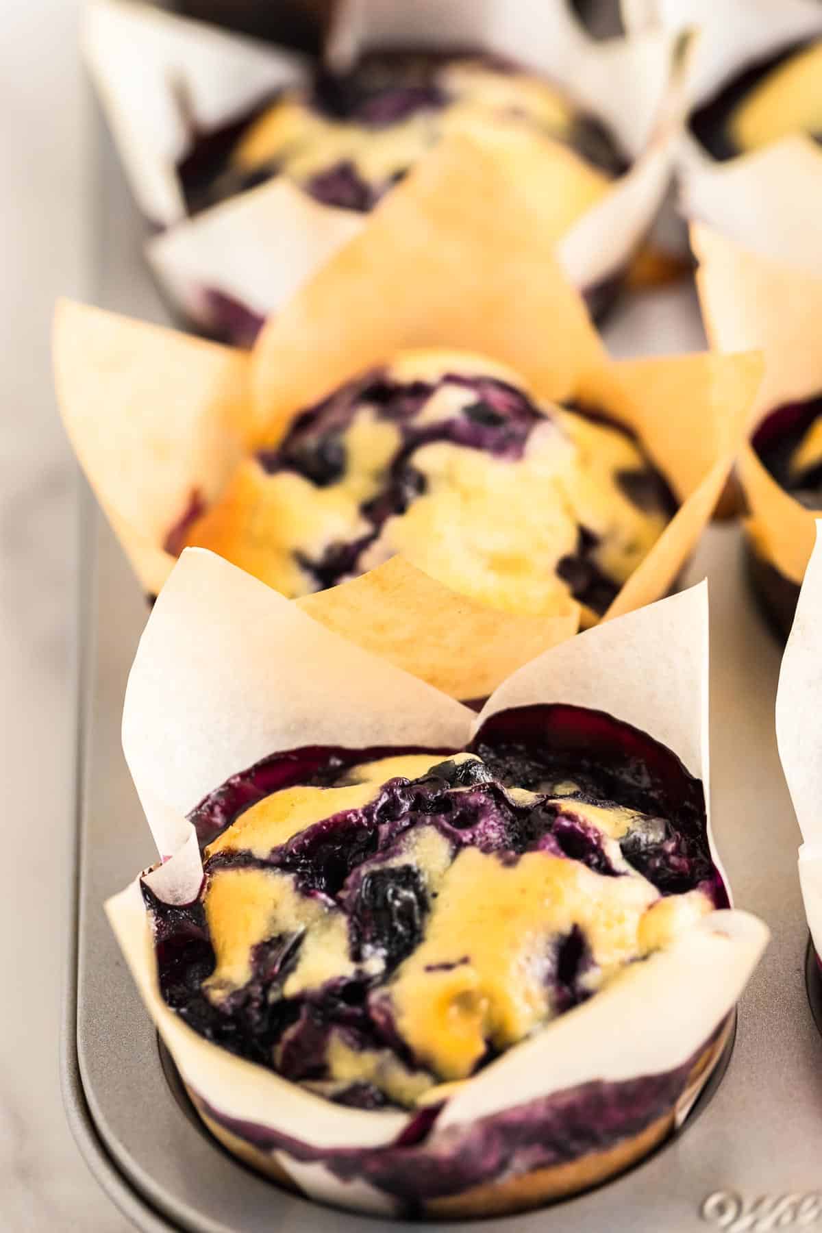 freshly baked Blueberry Muffins still sitting in the muffin tins