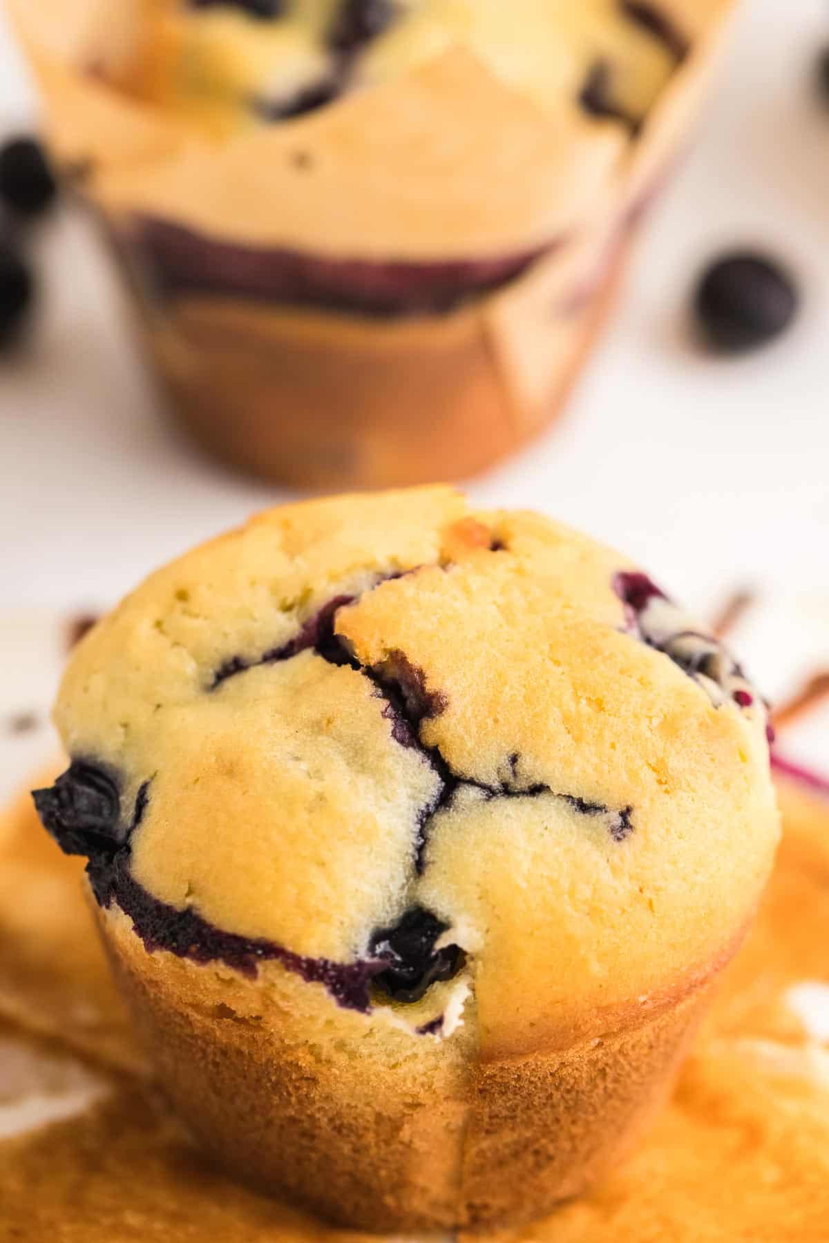 closeup image of a freshly baked blueberry muffin