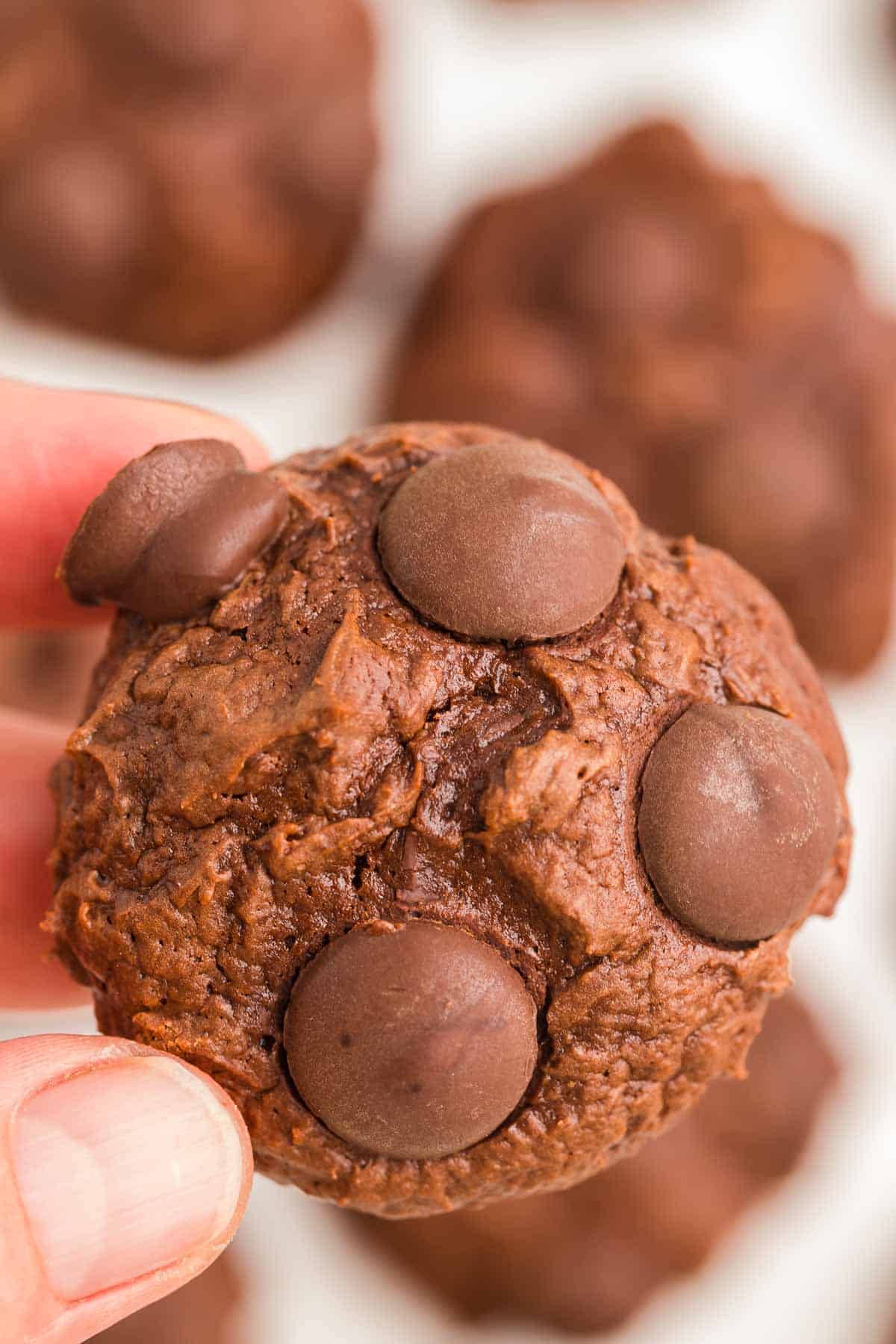 closeup of a freshly baked chewy double chocolate chip cookie