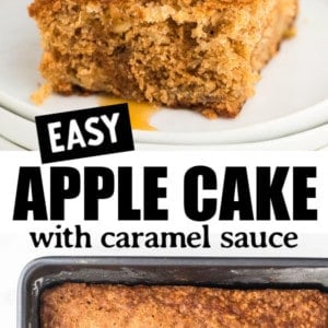 The best Apple Cake - Quick & Easy Recipe