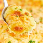 A spoonful of Cheesy Mashed Potatoes.