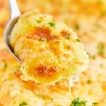 A spoonful of Cheesy Mashed Potatoes.