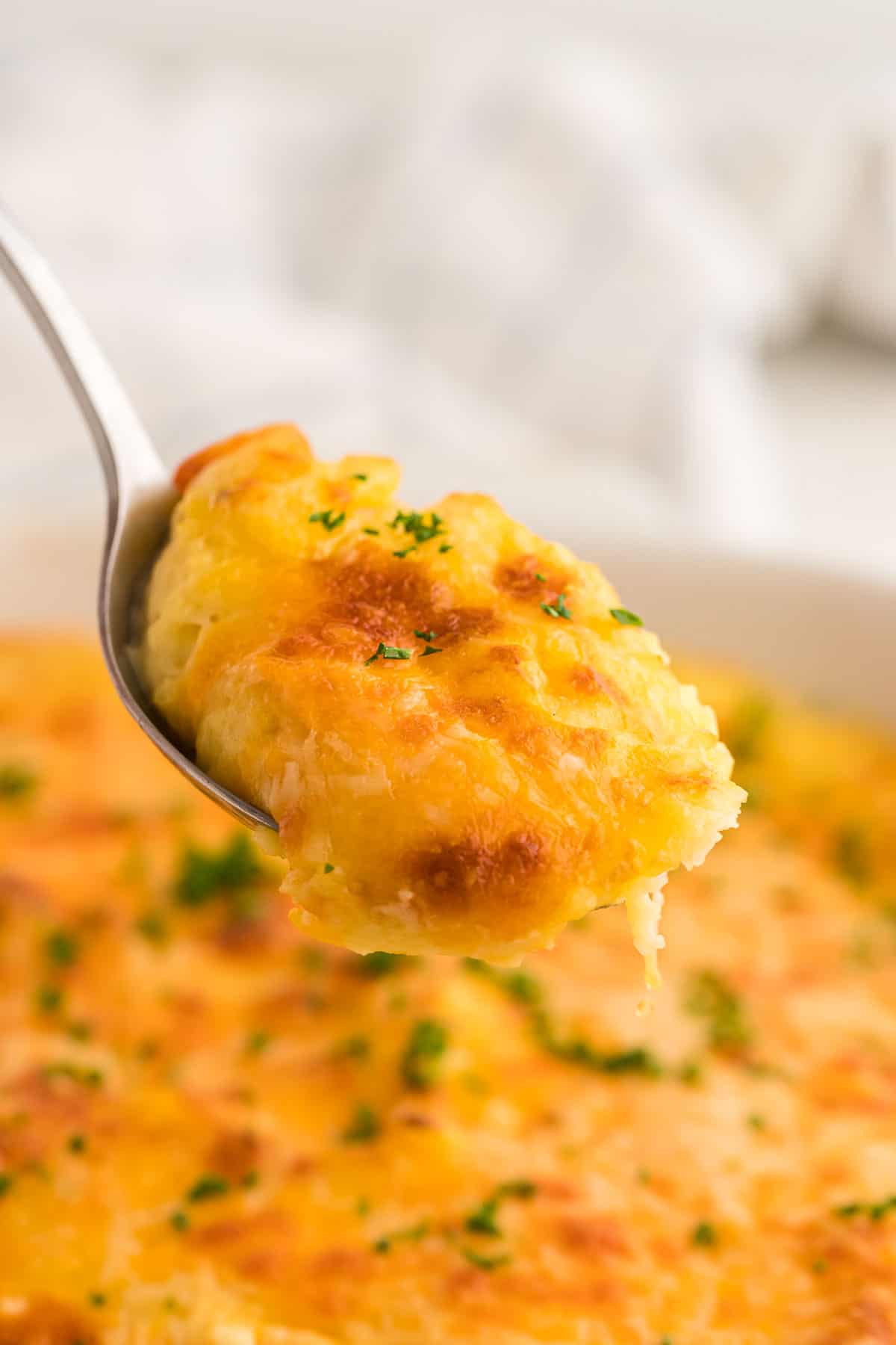 a spoonful of cheesy mashed potatoes