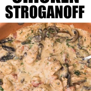 The best Chicken Stroganoff.