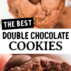 The best double chocolate chip cookies