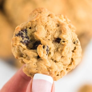 closeup of a single oatmeal cookie