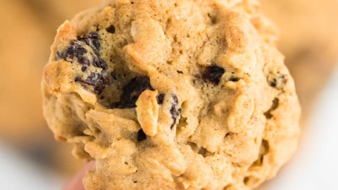 closeup of a single oatmeal cookie