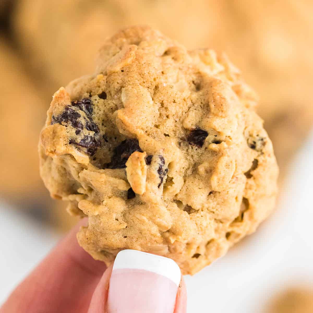 Easy Old Fashioned Oatmeal Cookies With Raisins Cheerful Cook