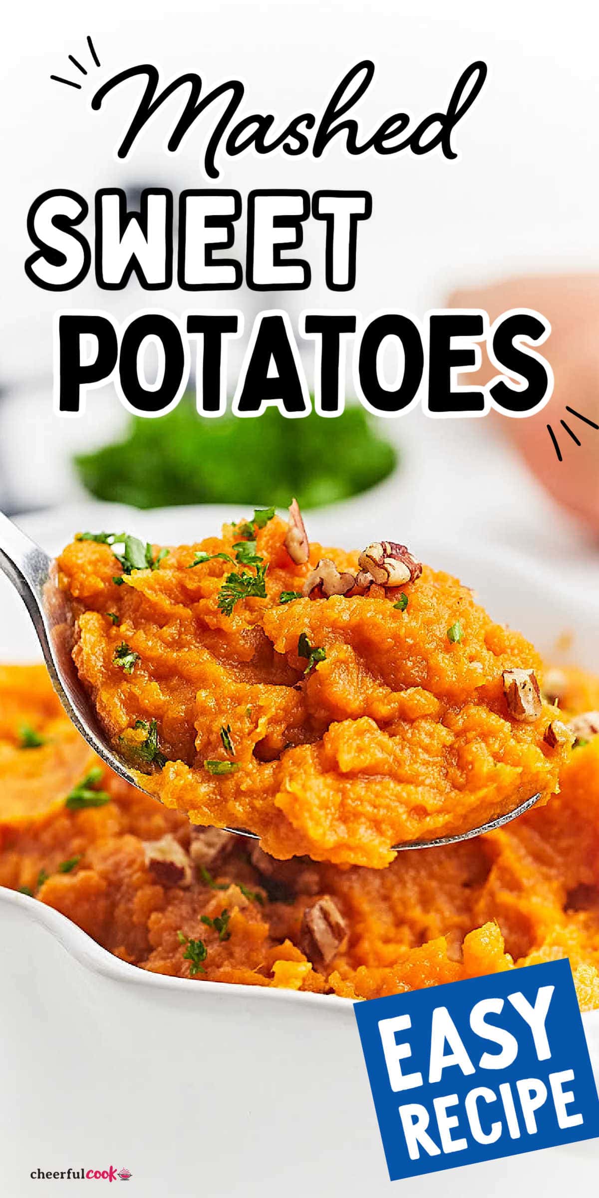 Wondering what side dish to make next? Try mashed sweet potatoes! They're creamy, a little sweet, and so easy to whip up. Perfect for weeknights or special occasions! #cheerfulcook #sweetpotatoes #sidedish #mashedsweetpotatoes #recipe #easyrecipes #thanksgiving ♡ cheerfulcook.com via @cheerfulcook