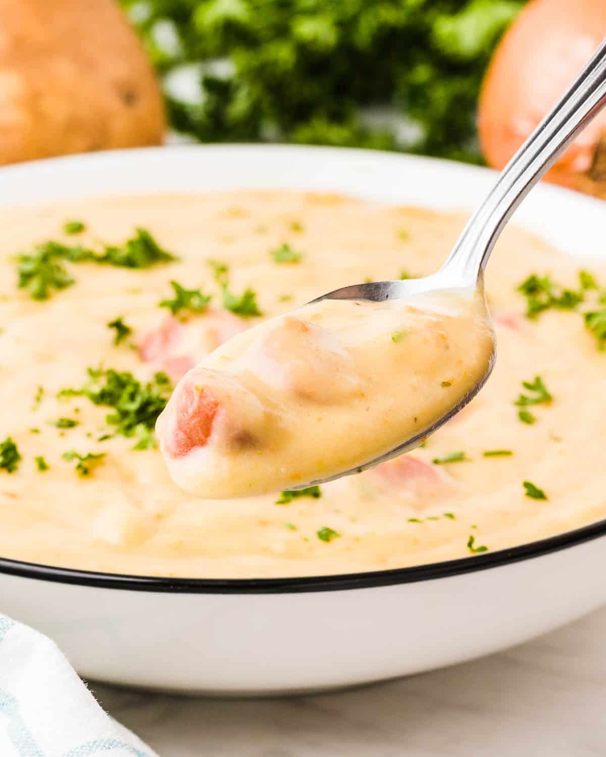 A spoonful of creamy German Potato Soup served in a white bow.