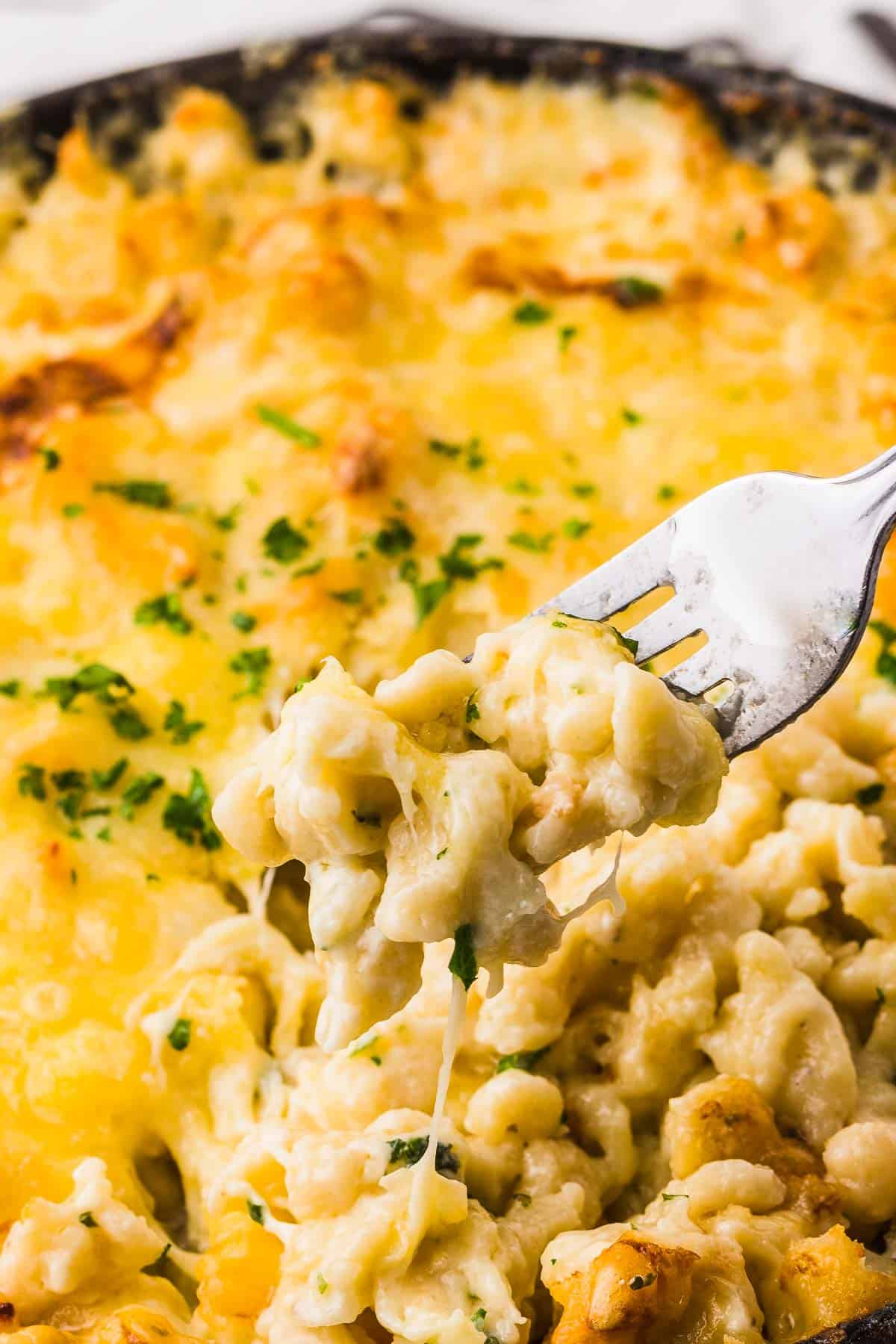 A forkful of Cheese Spaetzle fresh from the oven.