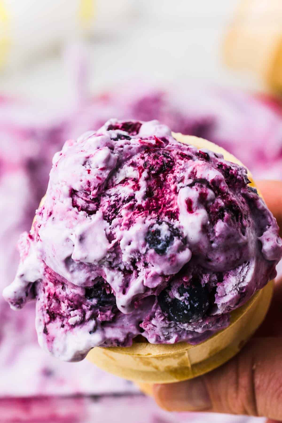 Closeup of Blueberry Ice Cream in cone.