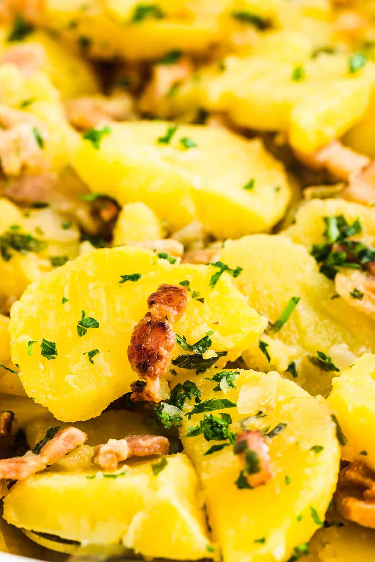 Closeup of warm German Potato Salad with bacon.