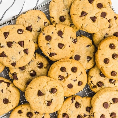 Overhead view of several freshly baked Chocolate Chip Cookies on a cooling rack.