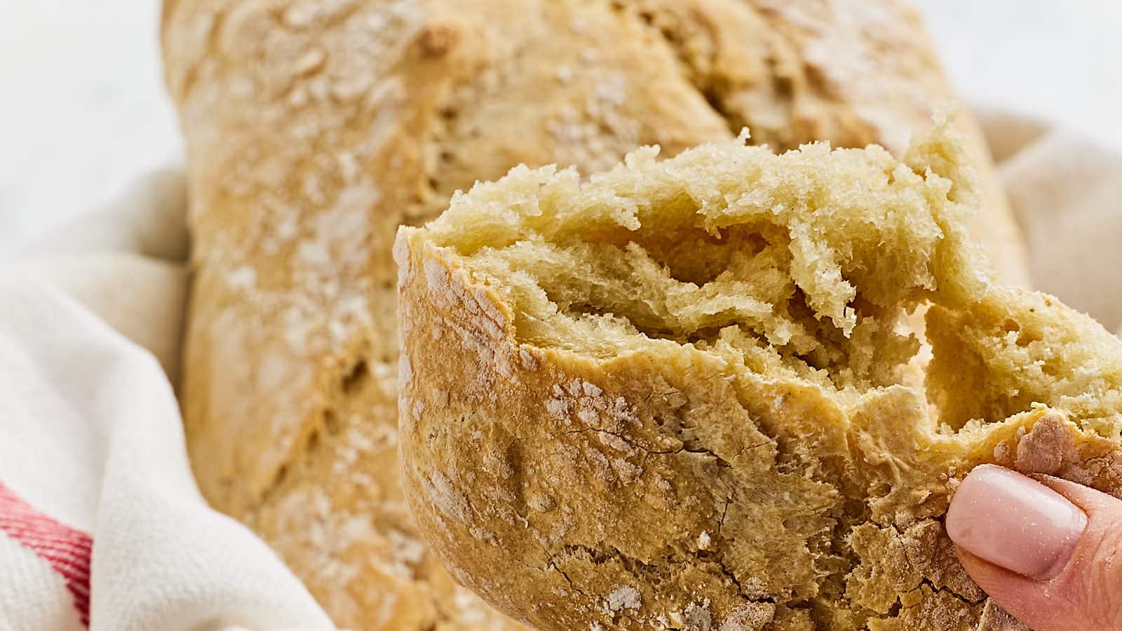 3 Ingredient Bread recipe by Cheerful Cook.