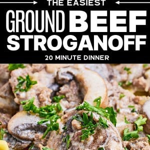 The world's easiest Ground Beef Stroganoff Recipe.