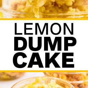 The best ever Lemon Dump Cake!
