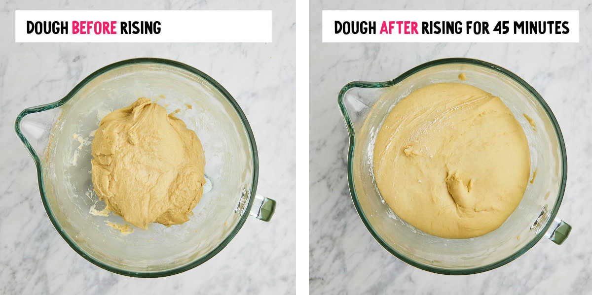 Step: Dough before and after proofing.