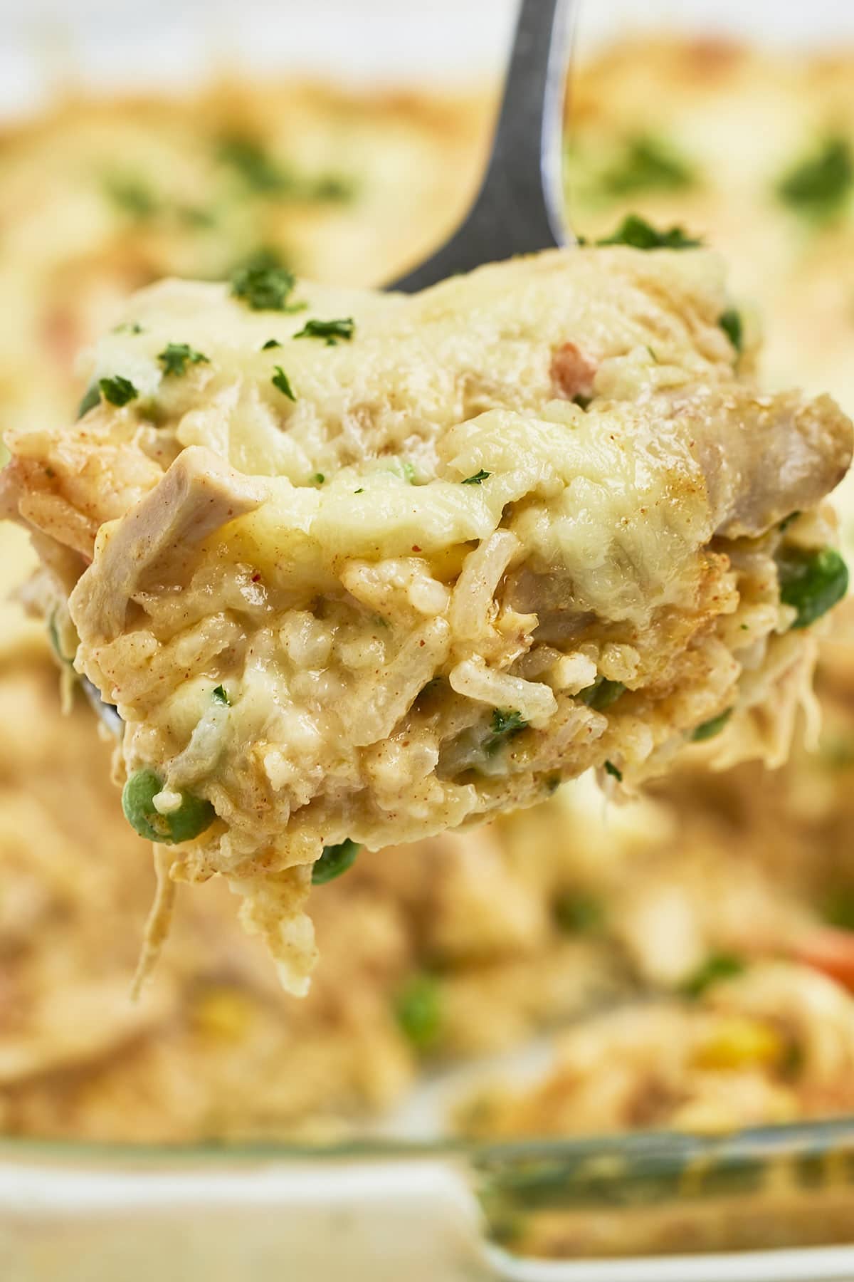 Closeup of a  spoonful of Chicken and Rice Casserole. 