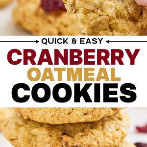 Insanely delicious Oatmeal Cranberry Cookies.