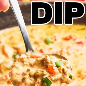 The best Rotel Dip Recipe.