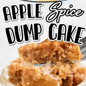 The most delicious Apple Spice Dump Cake Recipe!