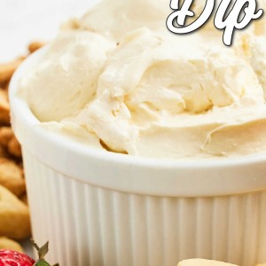 Easy Vanilla Cheesecake Dip Recipe!