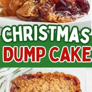 The best Christmas Dump Cake recipe!