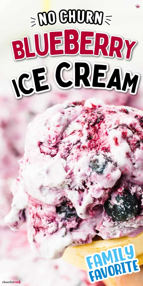 The best homemade, no-churn Blueberry Ice Cream.