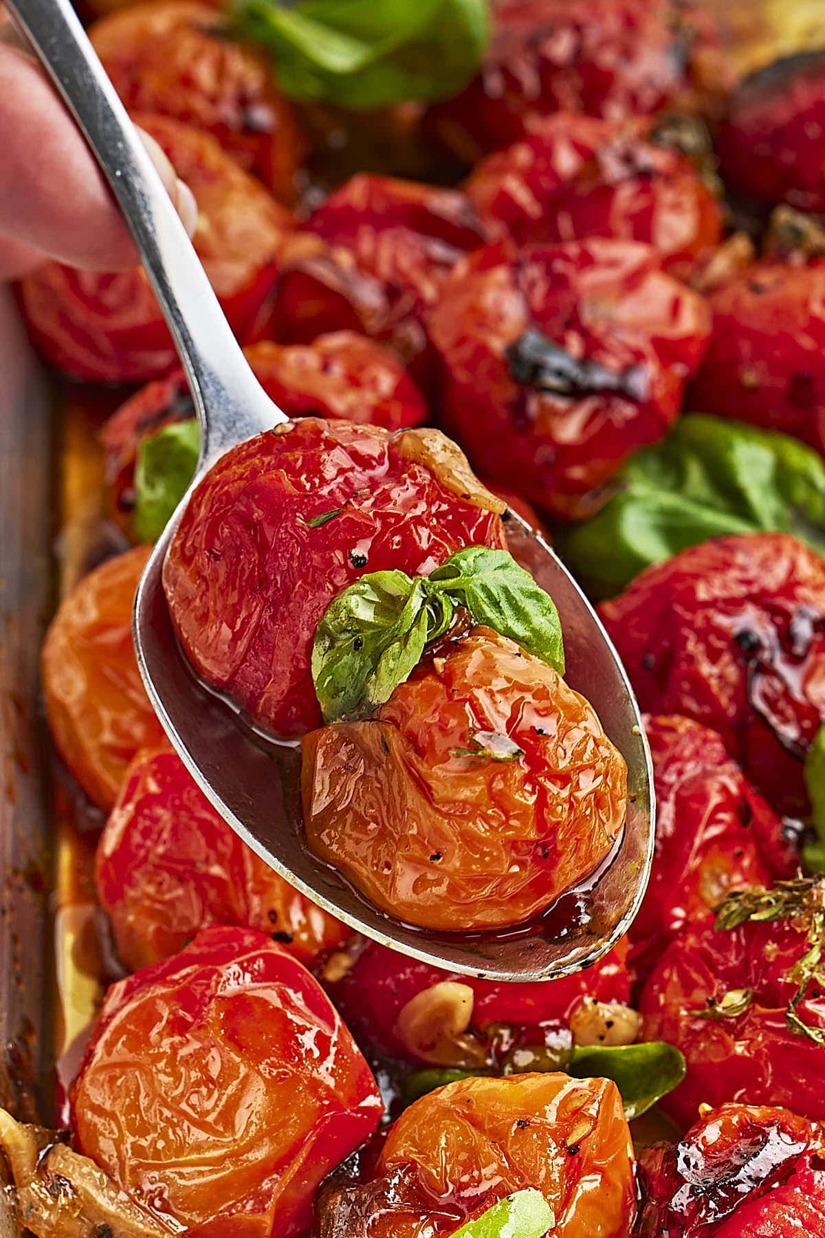 Closeup of a serving spoon loaded with roasted cherry tomatoes.