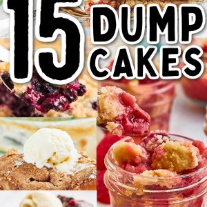 15 easy and delicious D ump Cake recipes.