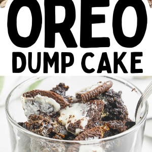 The most decadent Oreo Dump Cake recipe.